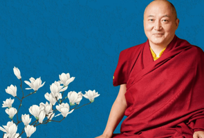 The 12th Goshri Gyaltsab Rinpoche – a short introduction